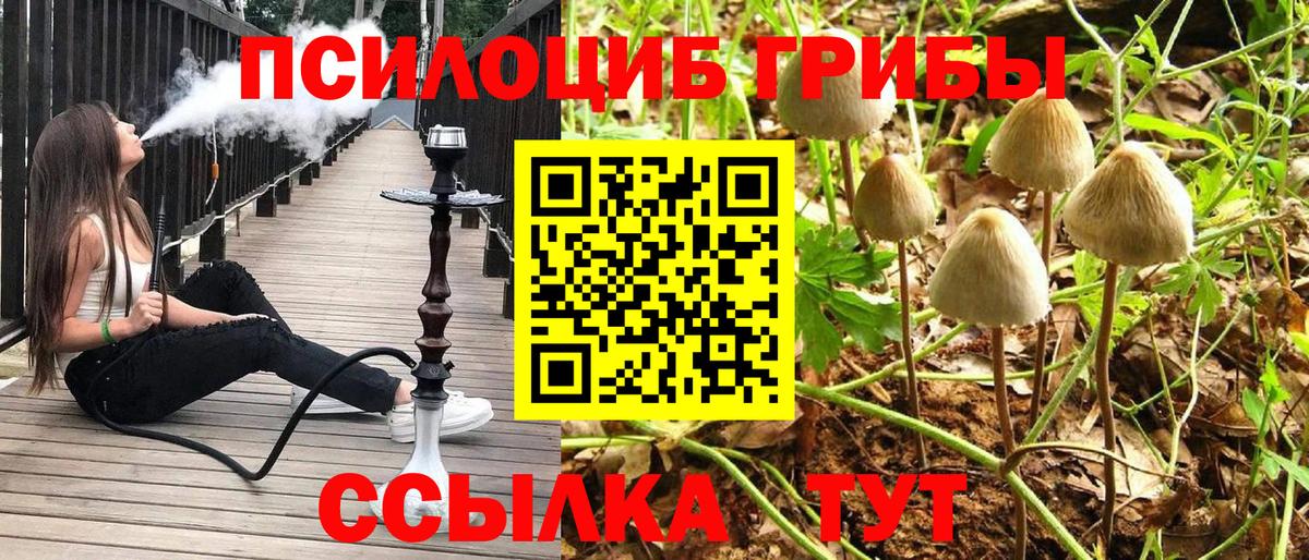 Псилоцибиновые грибы Magic Shrooms  Псилоцибиновые грибы MAGIC MUSHROOMS  Вход с VPN  Нефтеюганск 